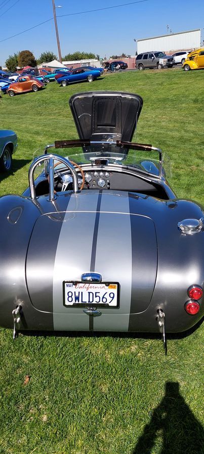 A gray sports car with the hood up is parked in a grassy field.