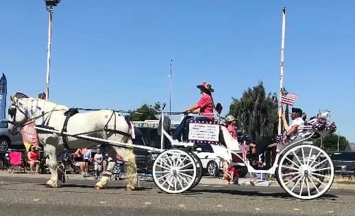 A woman is riding in a horse drawn carriage in a parade.