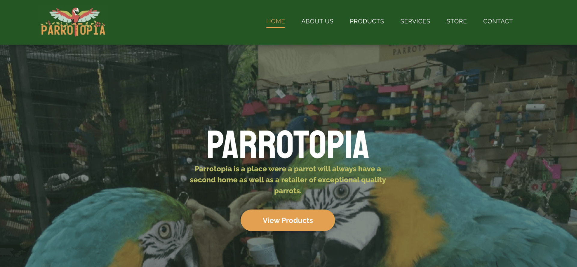 A screenshot of the parrottopia website.