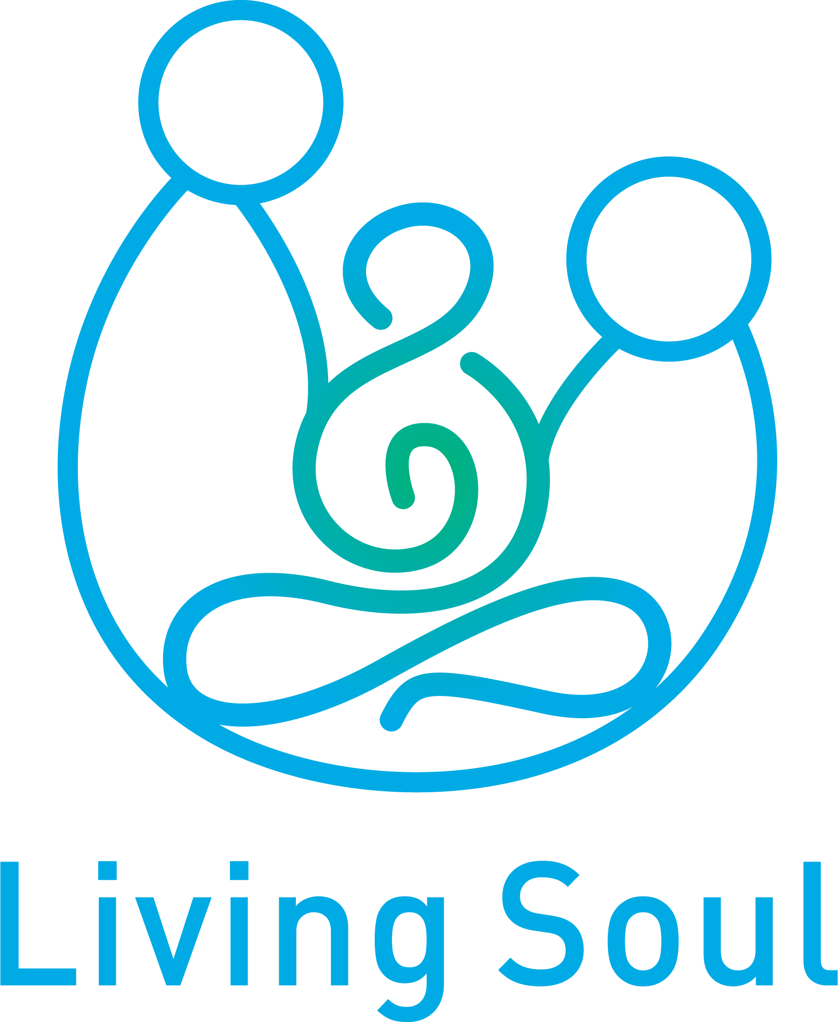 Living Soul LLC