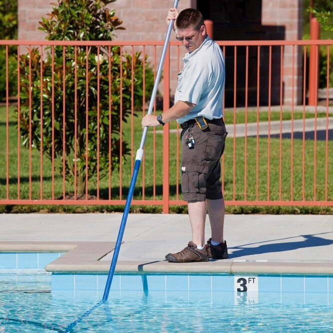 How to avoid getting water bugs in your pool