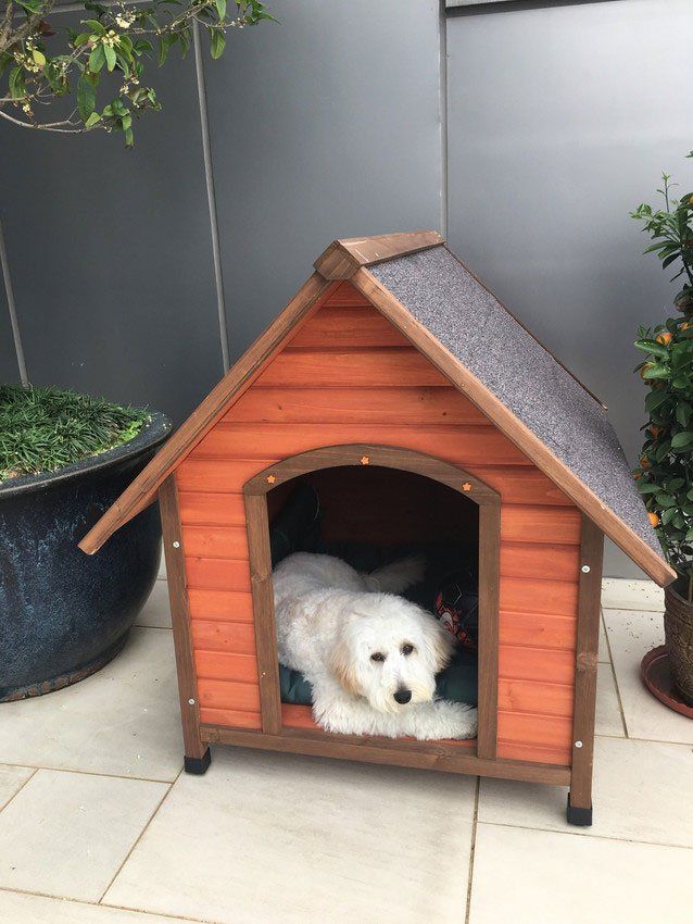 We provide comfortable dog kennels