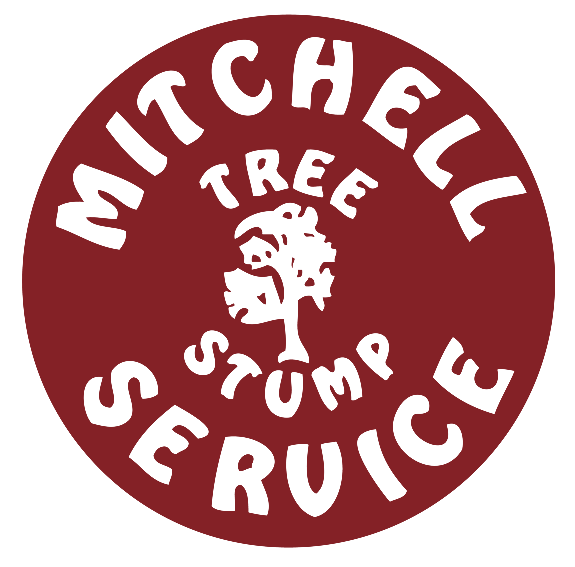 Southern MD Stump Grinding Removal Service - Tree stump grinding, crane  assisted tree services, Charles County, St Marys County MD, King George, VA