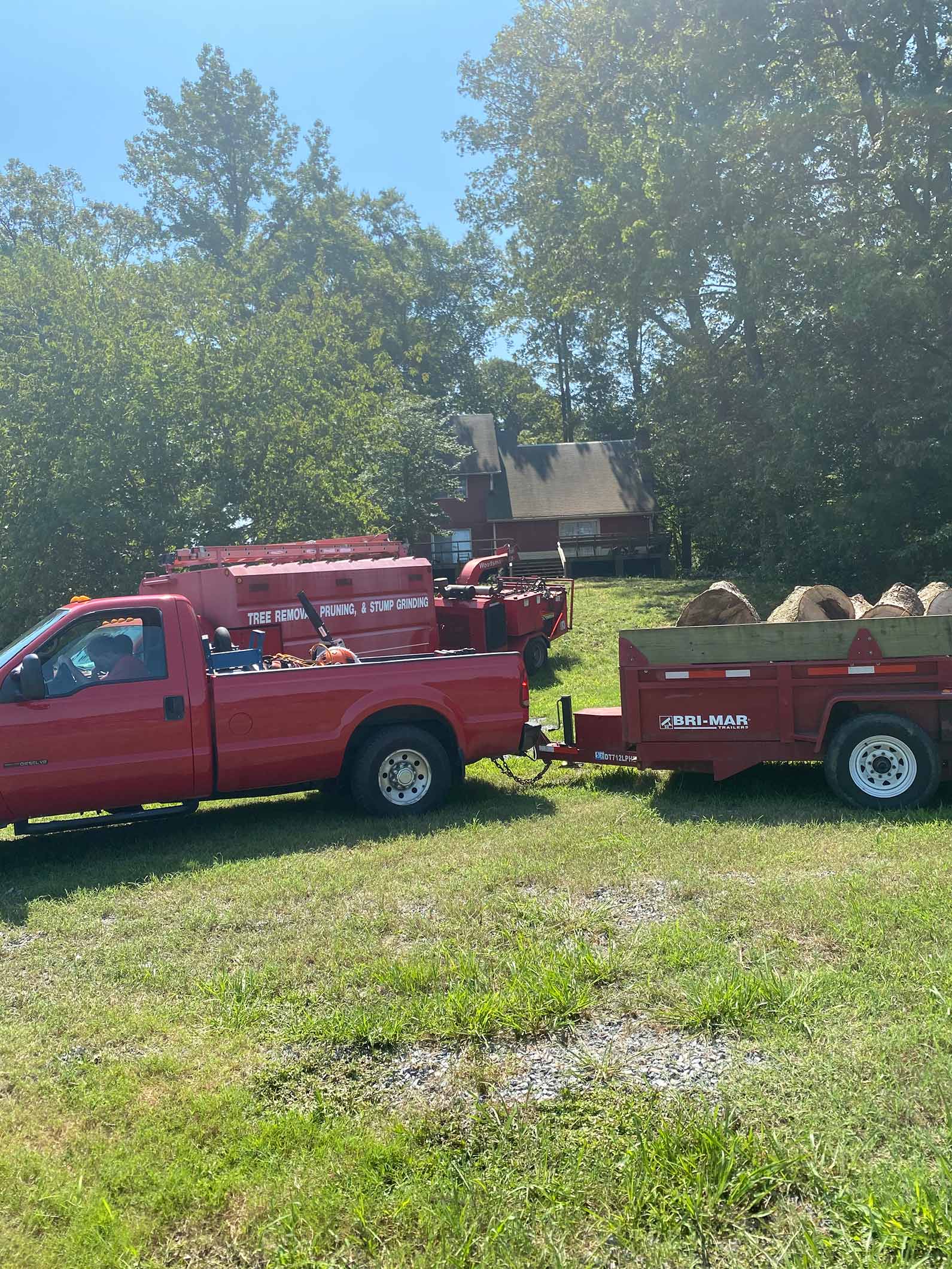 Removed Tree Stumps — Fredericksburg, VA — Mitchell Tree & Stump Service