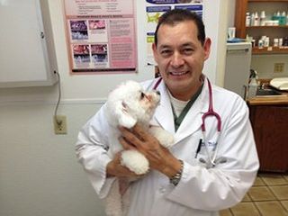 Dr. Toledo - Aspen Animal Hospital in Fullerton, CA