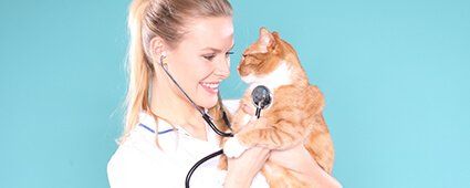 Doctor and Cat - Aspen Animal Hospital in Fullerton, CA