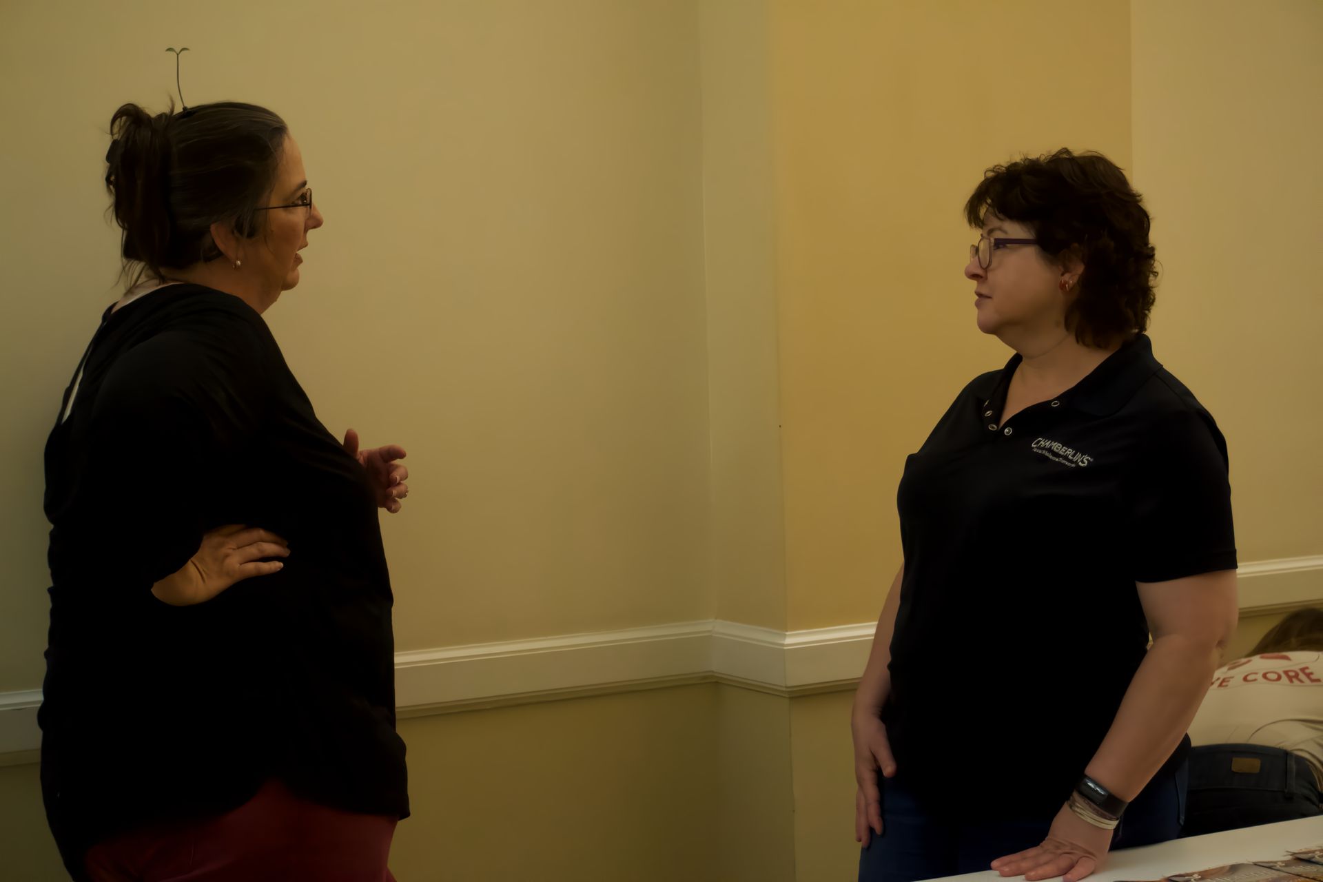 Two women are standing next to each other and talking in a room.