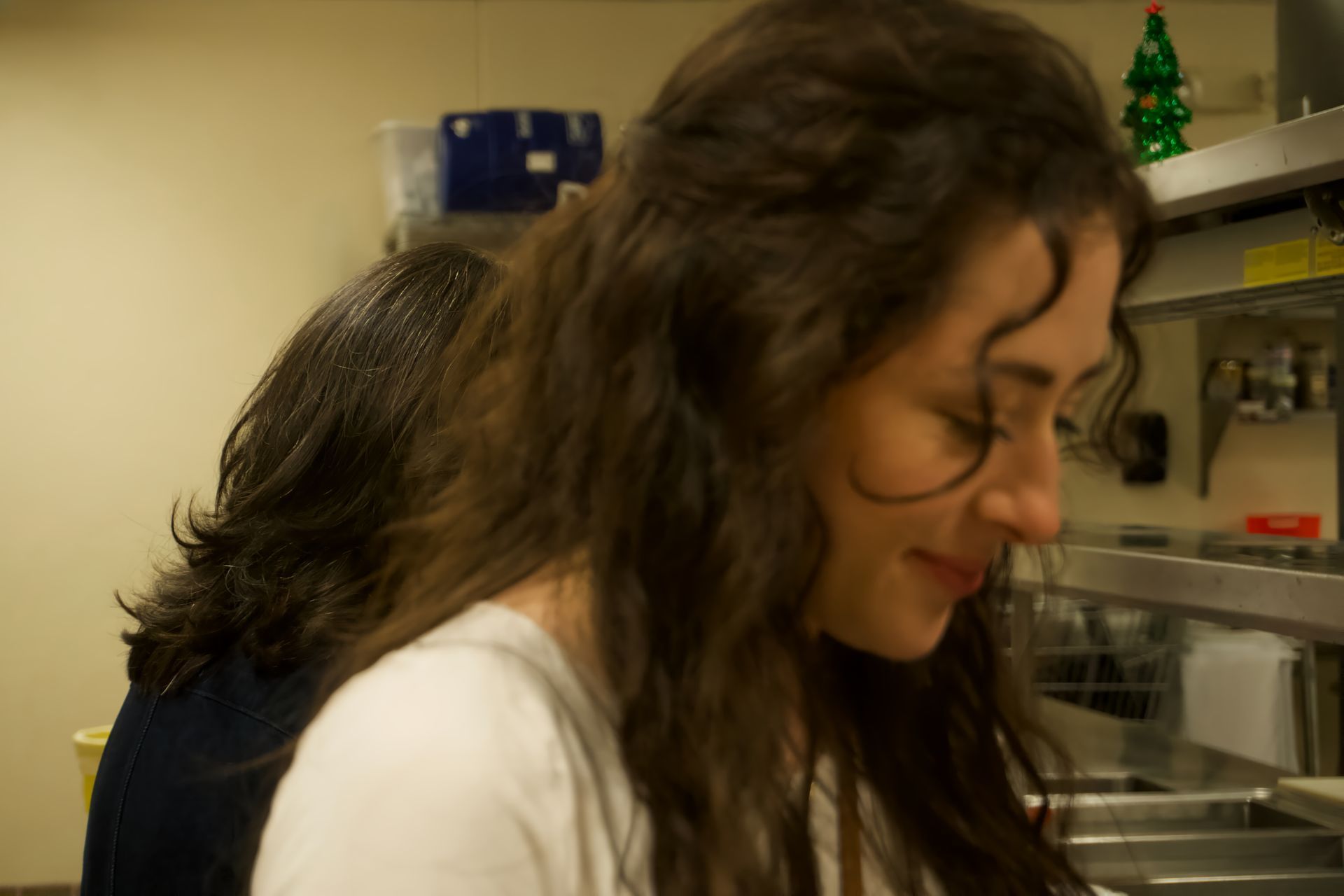 Two women are standing in a kitchen with a christmas tree in the background.