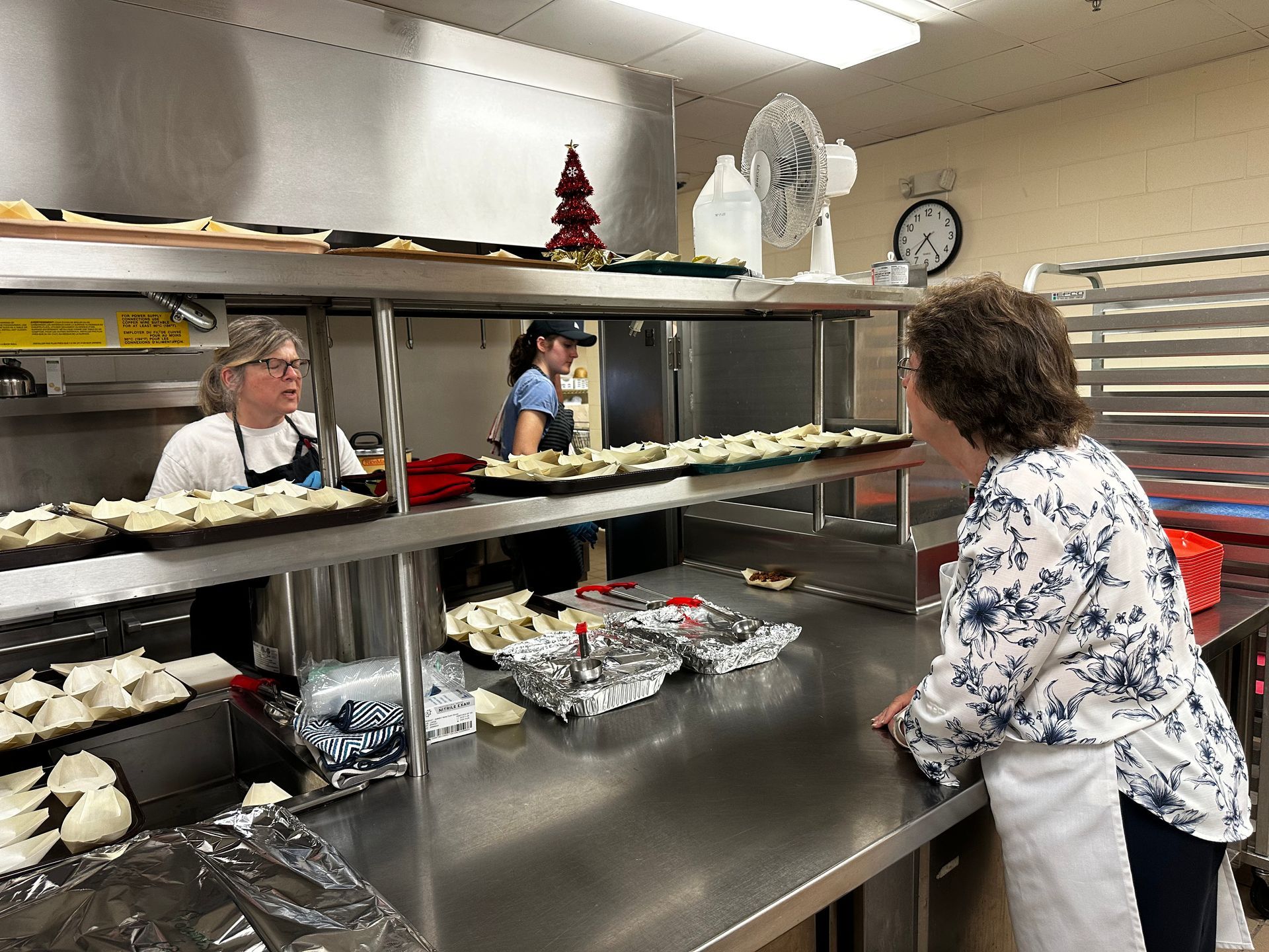A woman is standing at a counter in a kitchen looking at food.