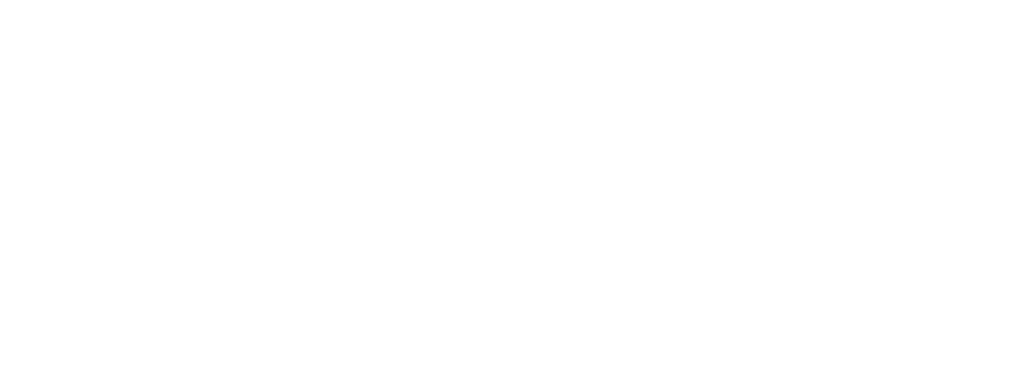 APS Security logo