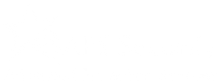 APS Security logo