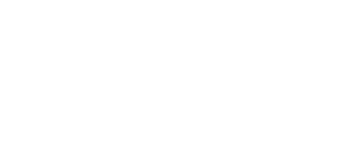 APS Security logo
