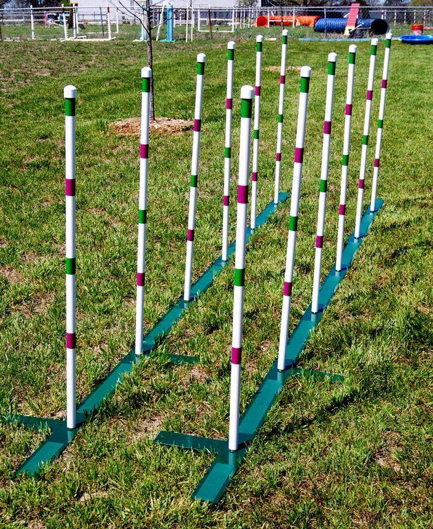 Dog Agility Full Sets