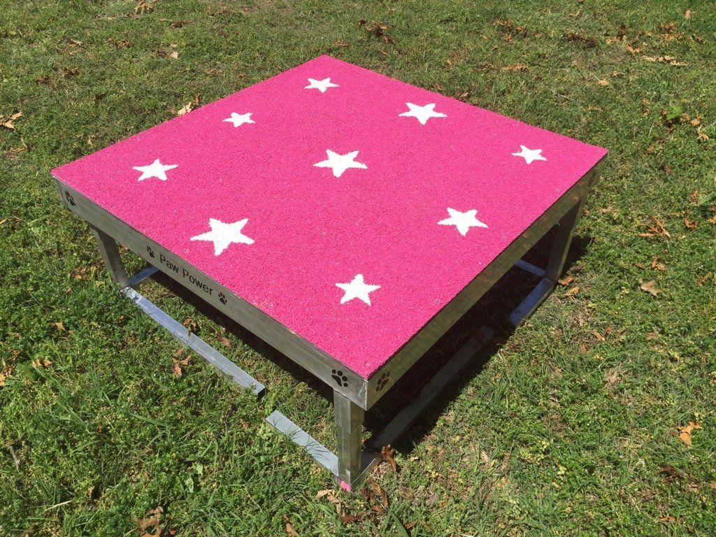 Dog Agility Tables