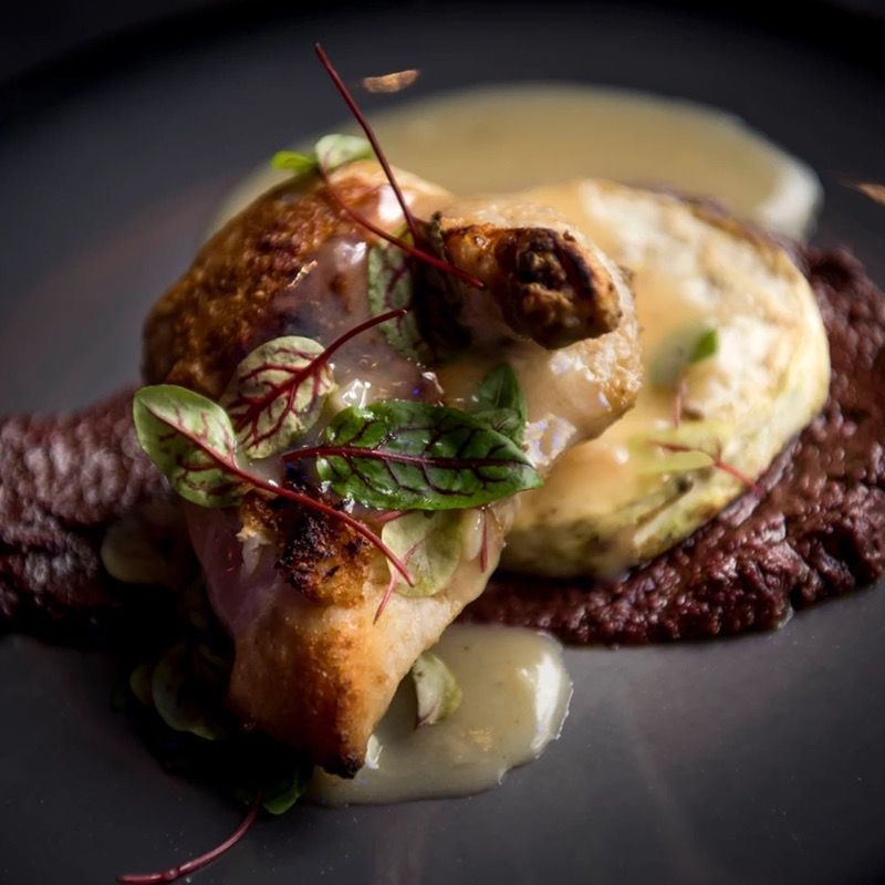 Roasted chicken and a vegetable on a plate with sauce and garnish.