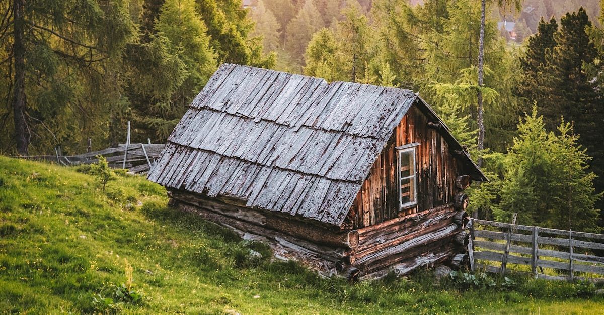 Wooden cabin on a grassy hillside, set against a backdrop of trees.