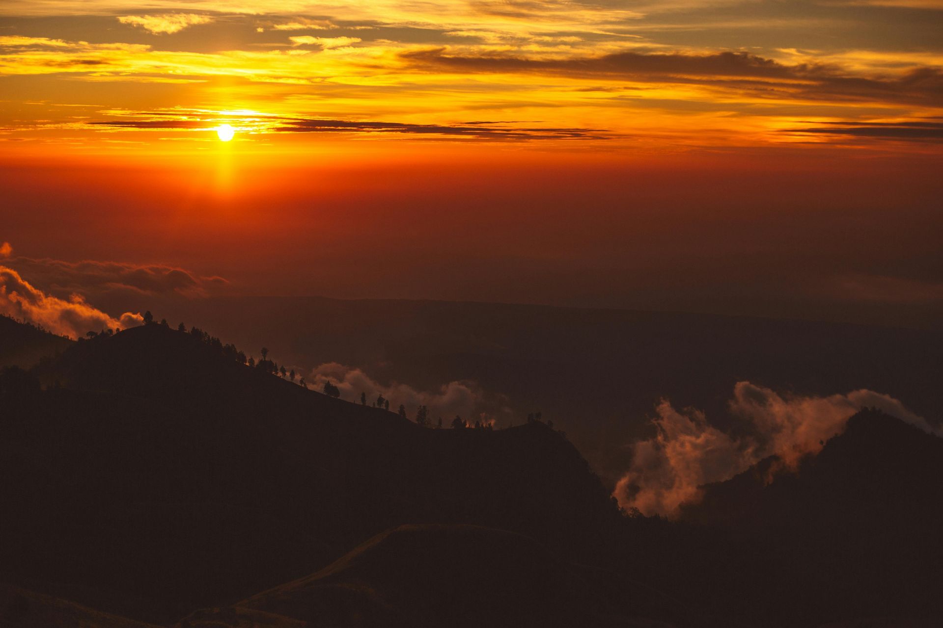 House with brick facade, trees, and a woman standing in front of a garage. Christmas deer are in the yard.