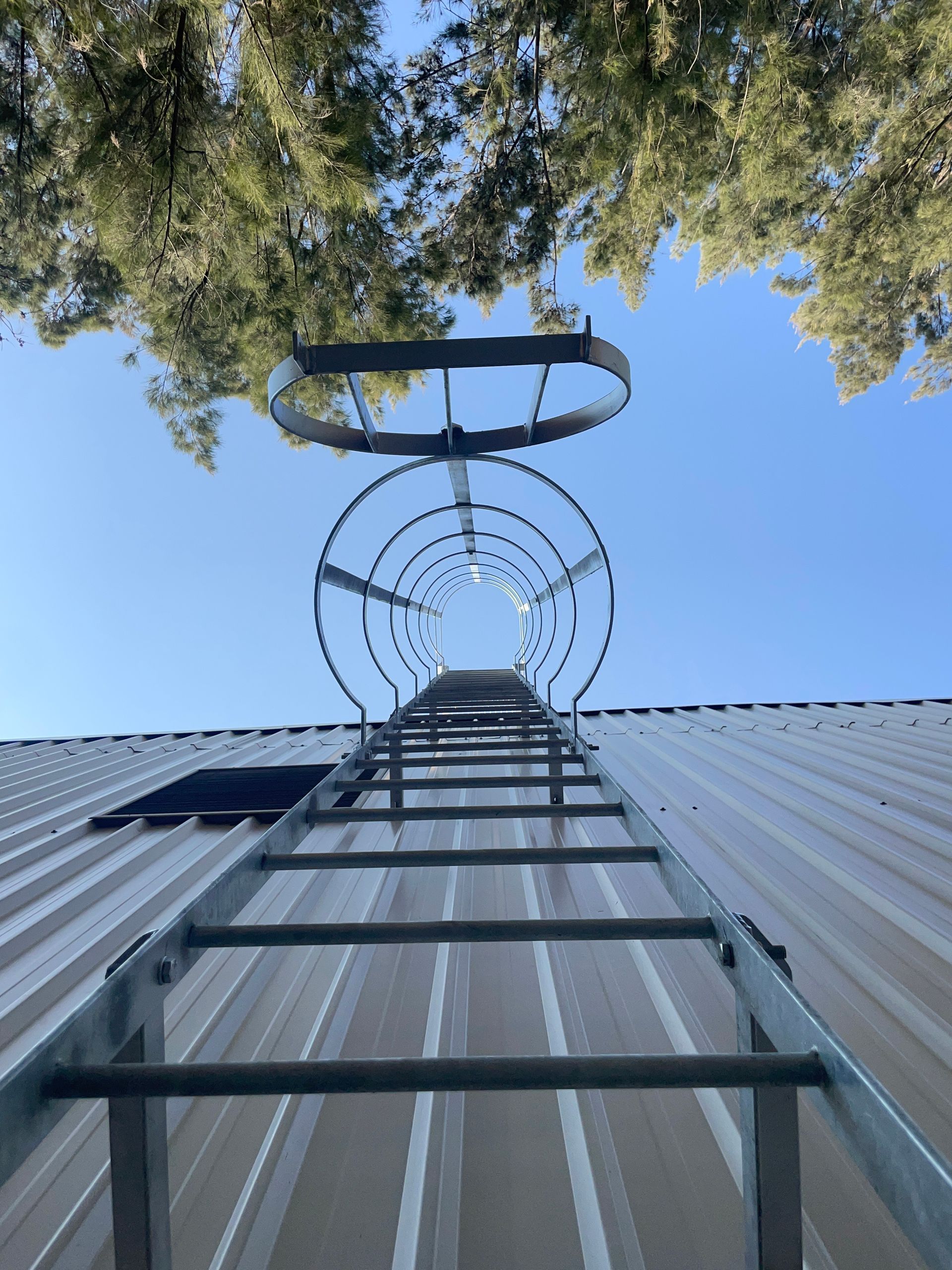 Metal ladder with safety cage attached to a white wall against a blue sky.