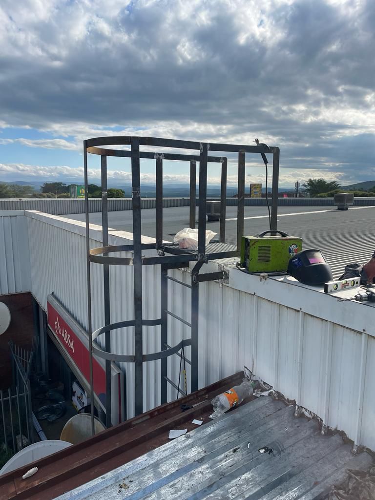 Metal ladder with safety cage on rooftop. Green generator sits nearby.