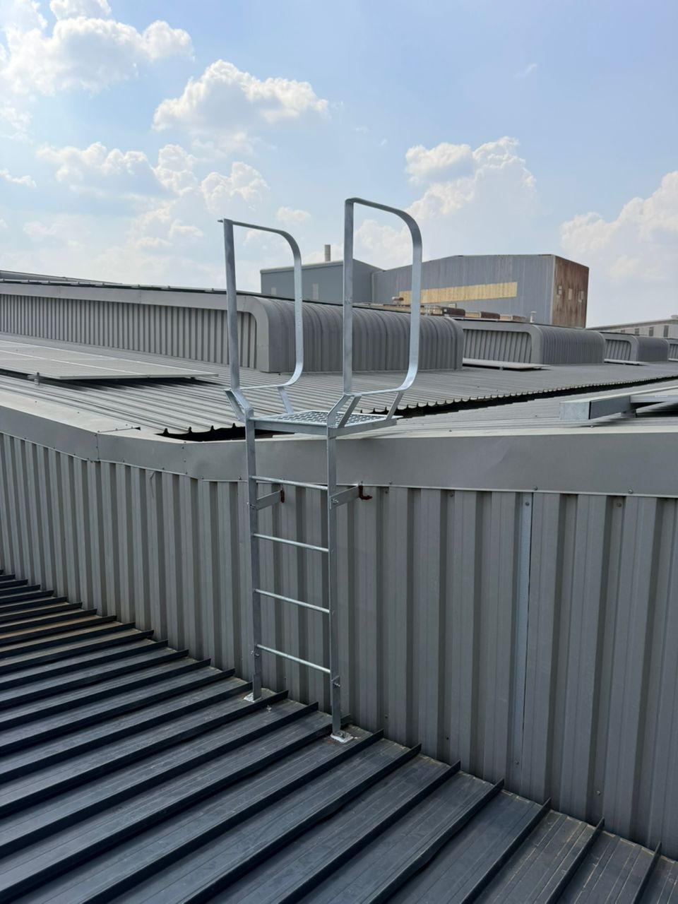 Ladder attached to a corrugated metal roof, with guardrails, on a sunny day.