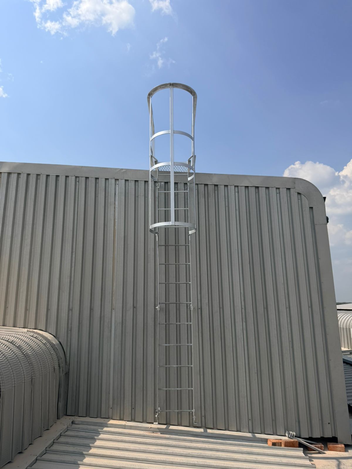 Metal ladder with safety cage, attached to a corrugated building roof. Blue sky in background.