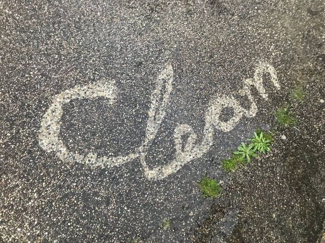 a close up of a sidewalk with a plant growing out of it