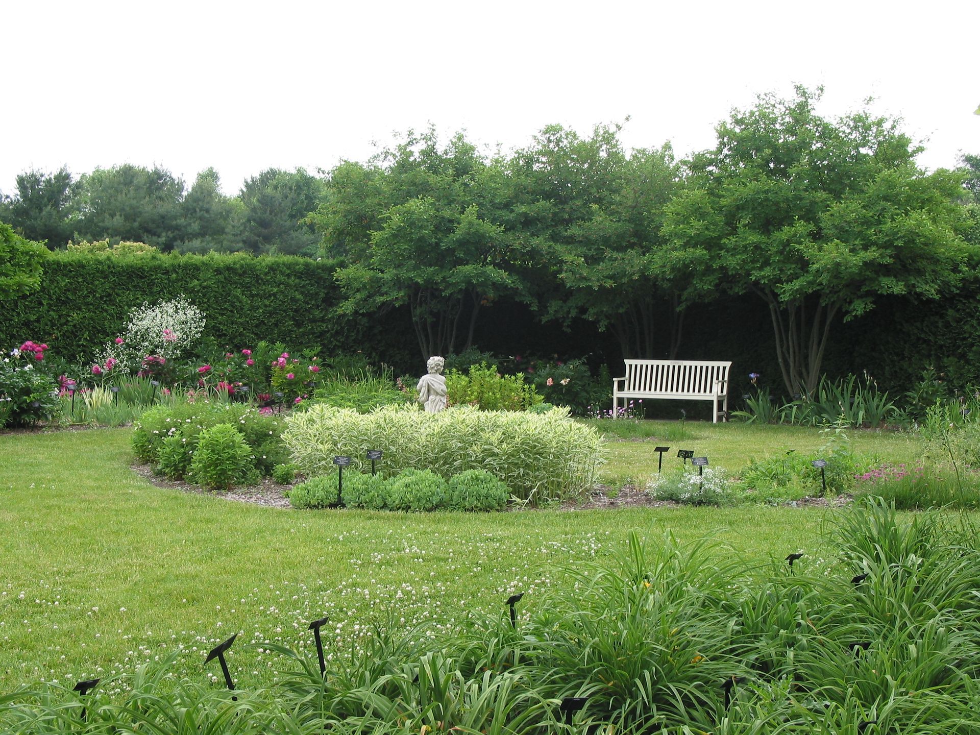 A white bench is sitting in the middle of a lush green garden.