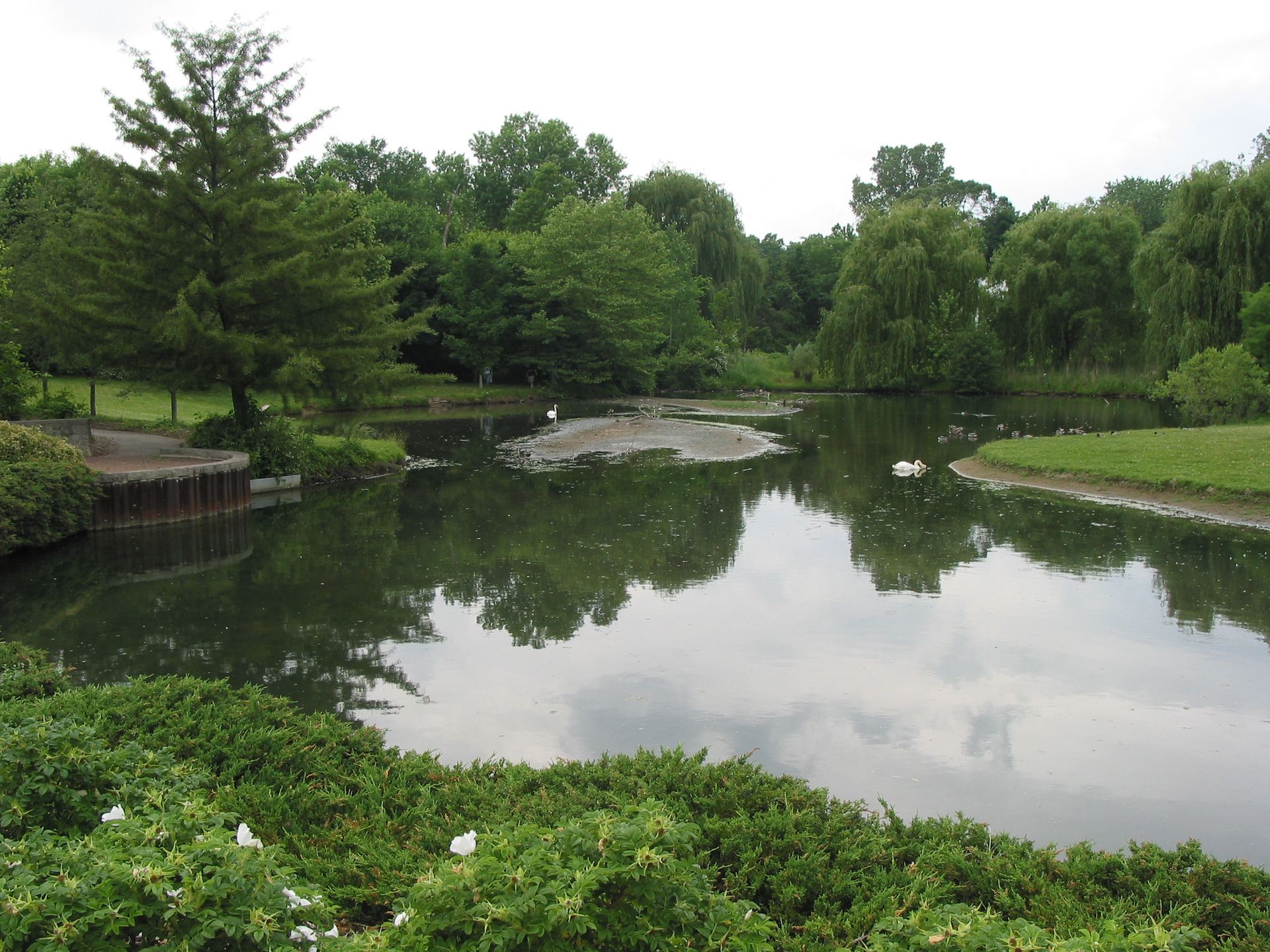 A large body of water surrounded by trees and bushes