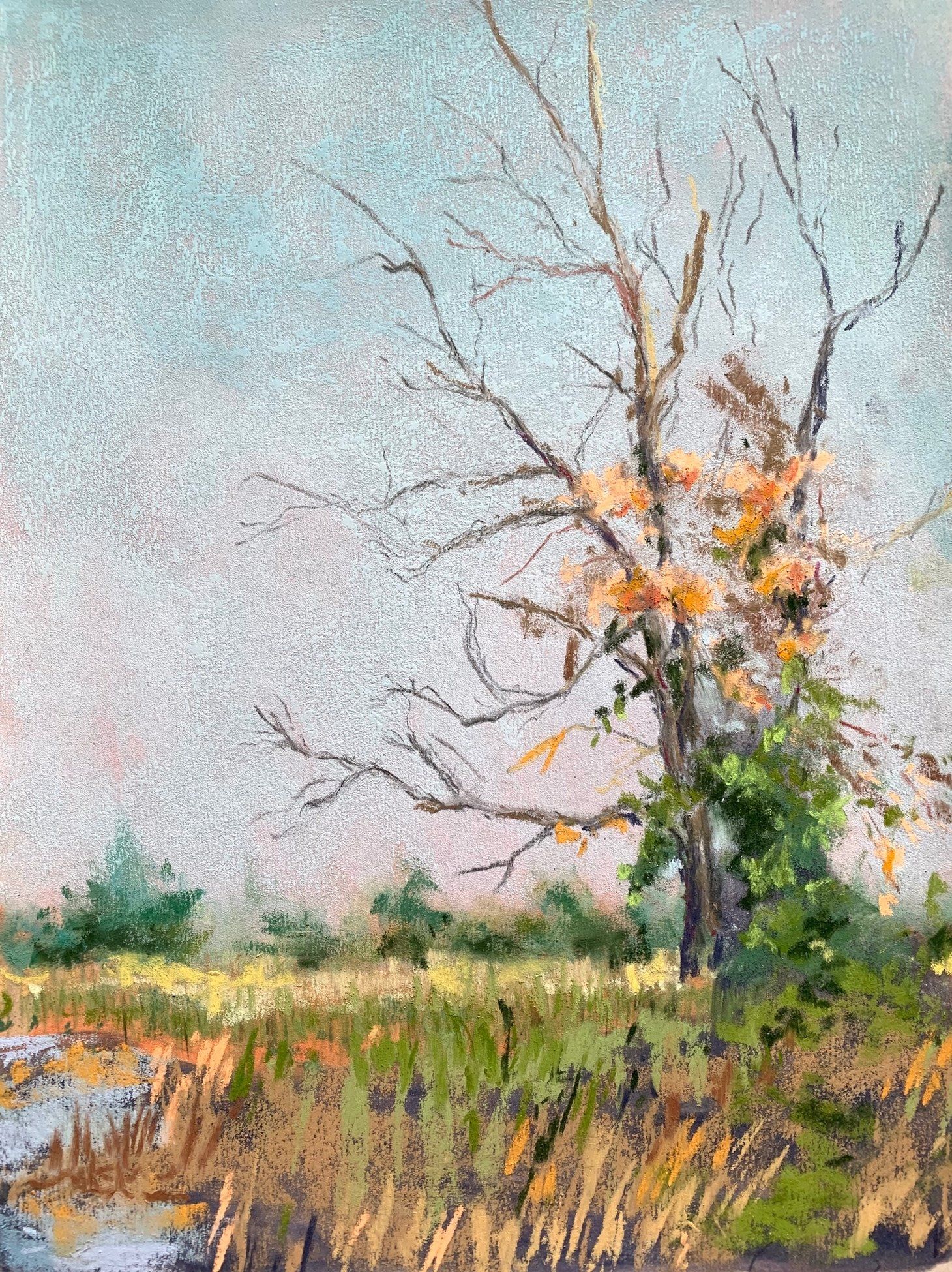A painting of a tree in a field with a river in the background.