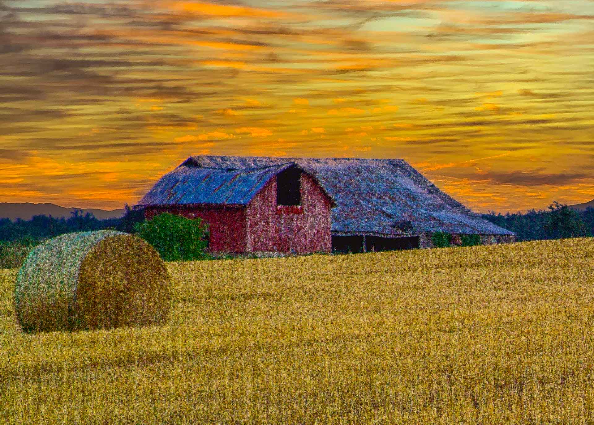 A red barn is sitting in the middle of a wheat field.