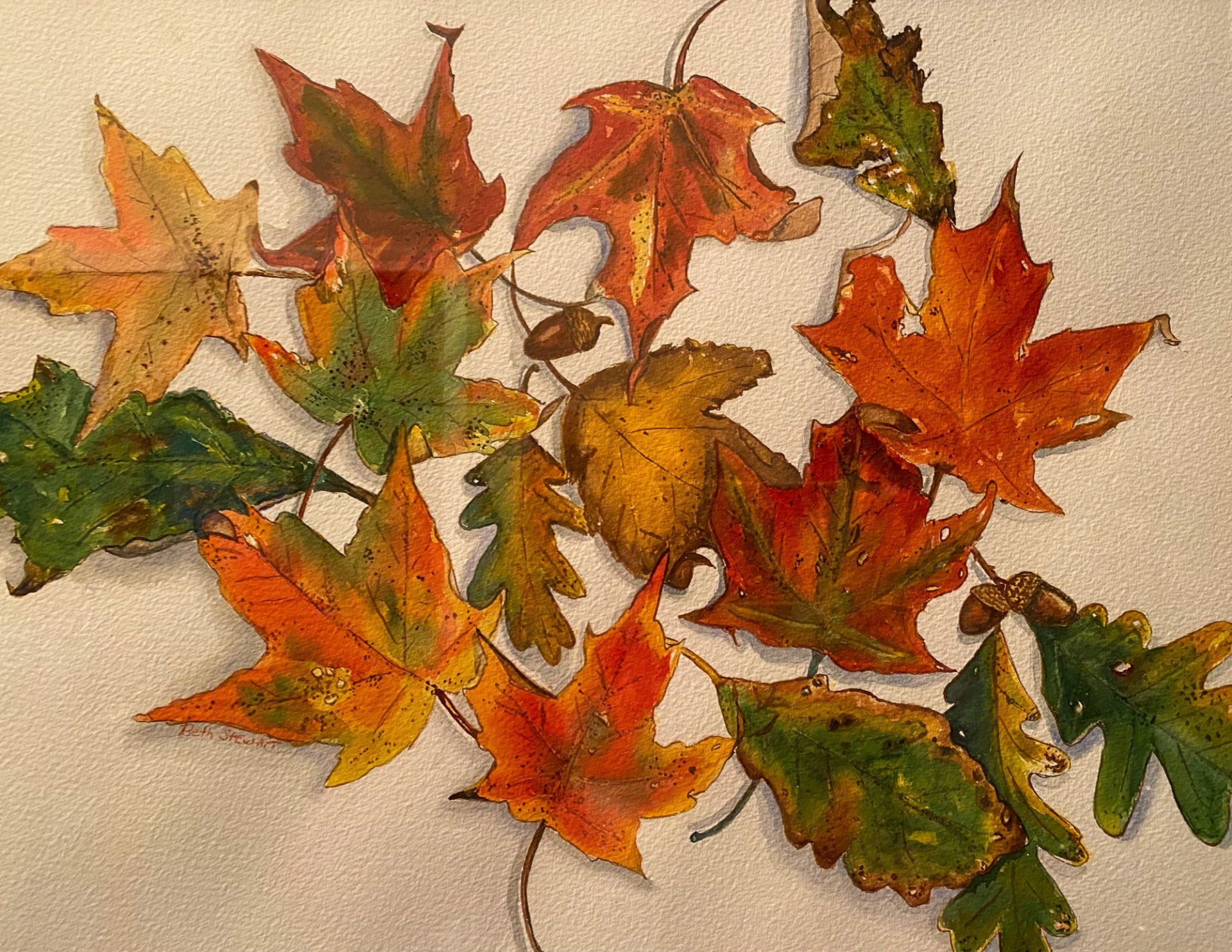 A bunch of different colored leaves on a white surface