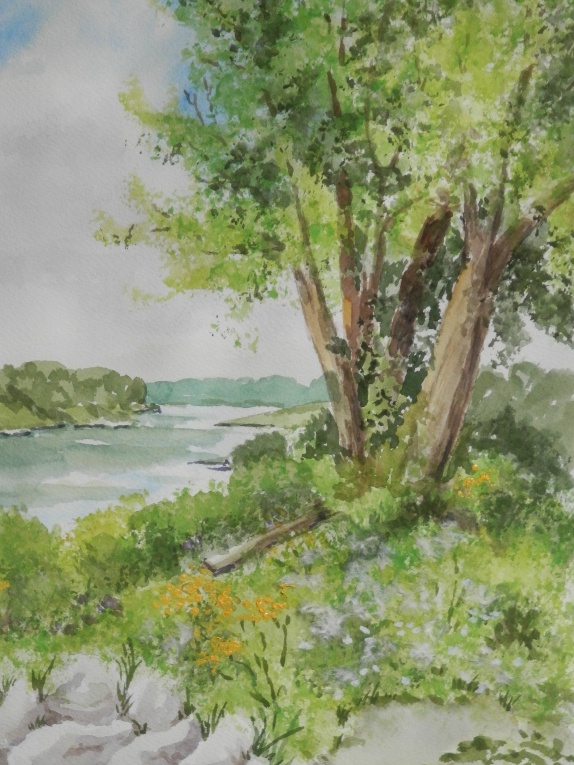 A painting of a river with trees and rocks in the foreground