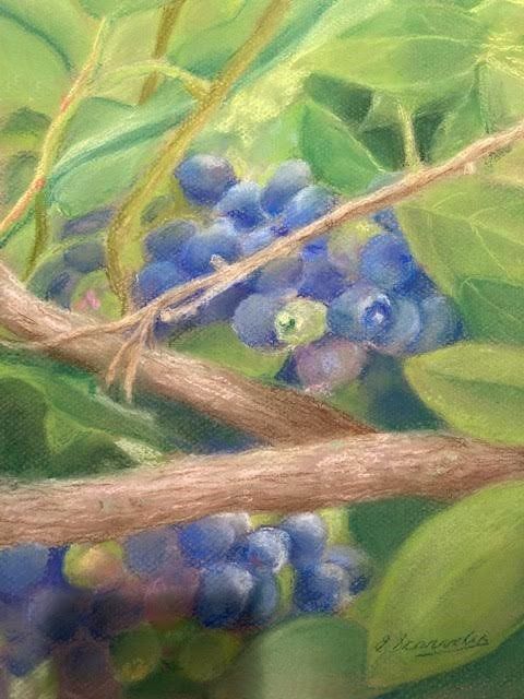 A painting of blueberries growing on a tree branch.