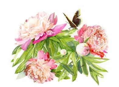 Stopping by Peony on a Sunny Morning, watercolor by Janealla Killebrew_