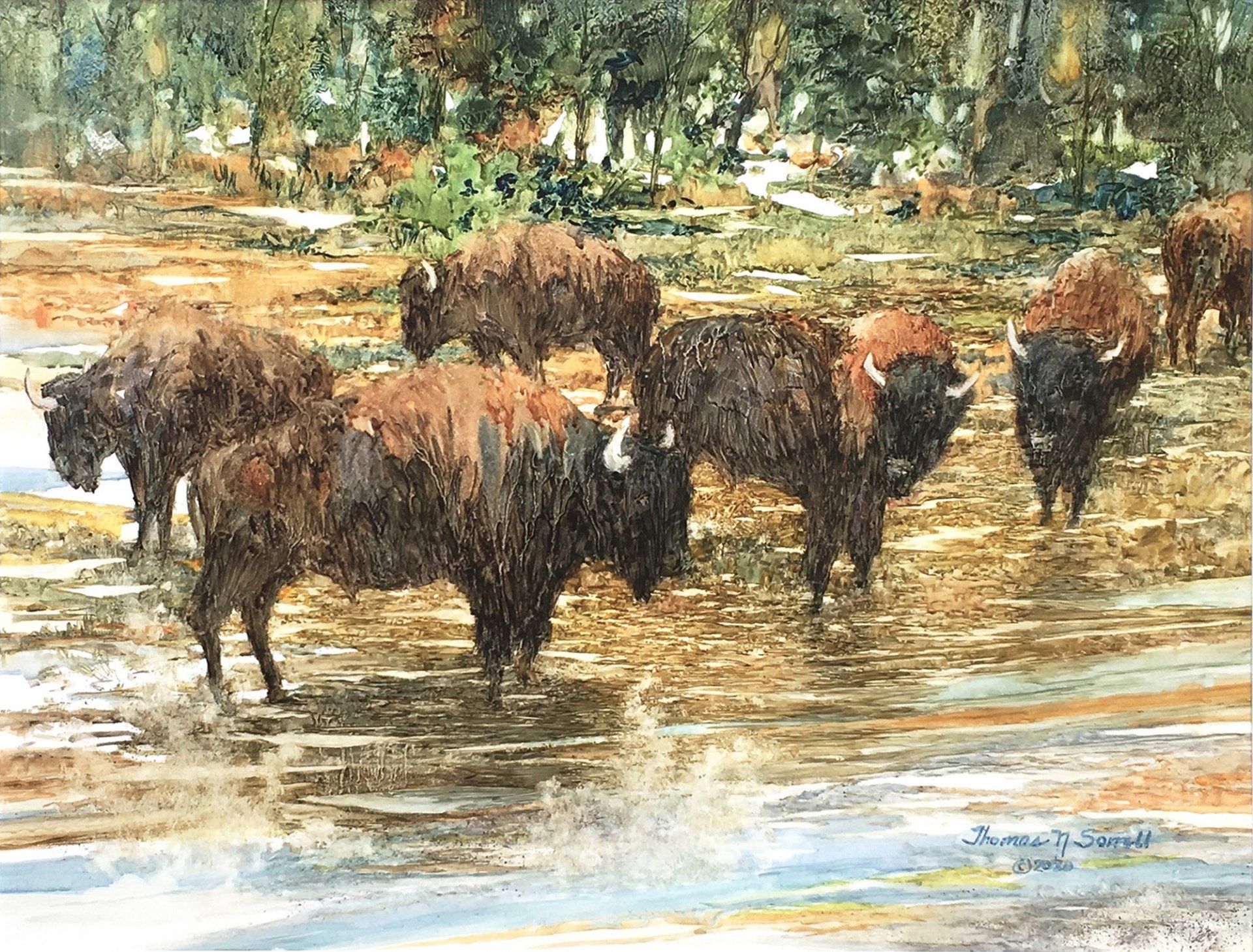 A painting of a herd of bison walking through a river.