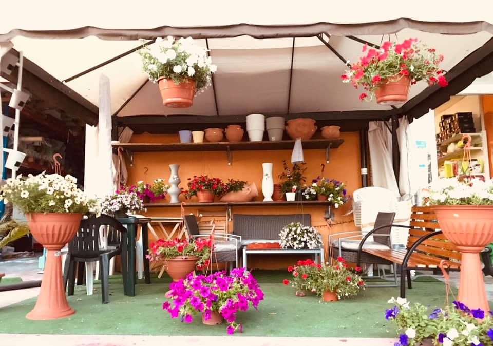 esposizione di piante e fiori