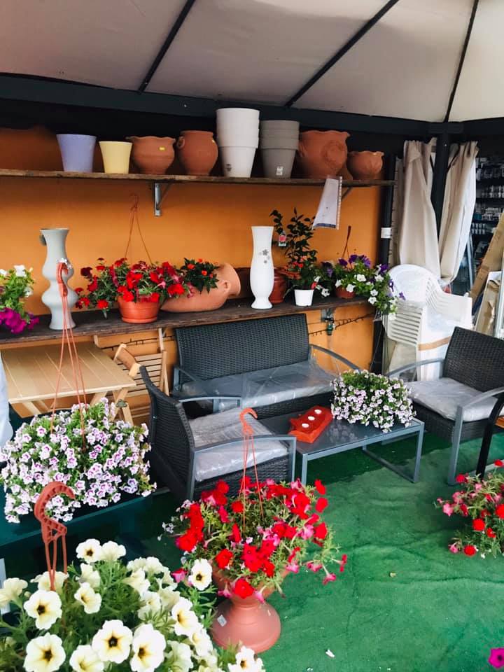 interni negozio con piantine e fiori