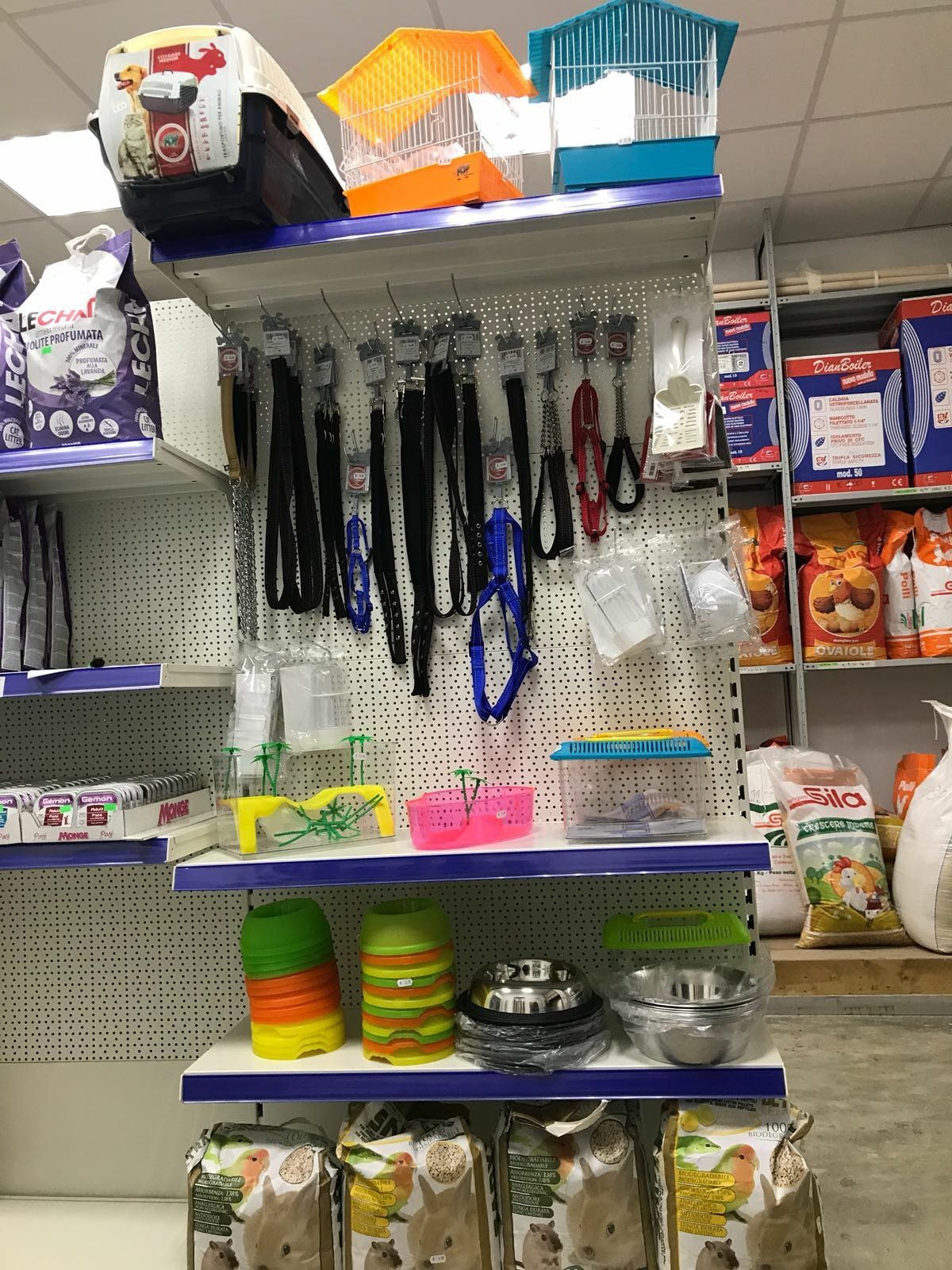 collari e accessori per animali