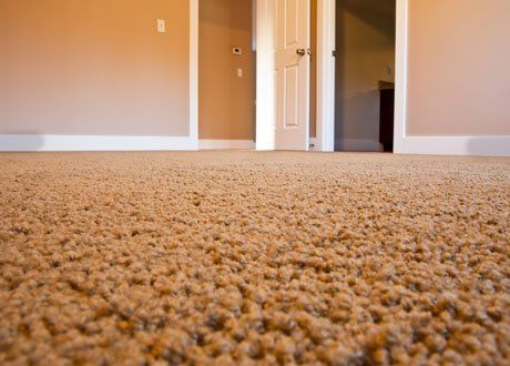 close up view of plain, woollen carpets for floor