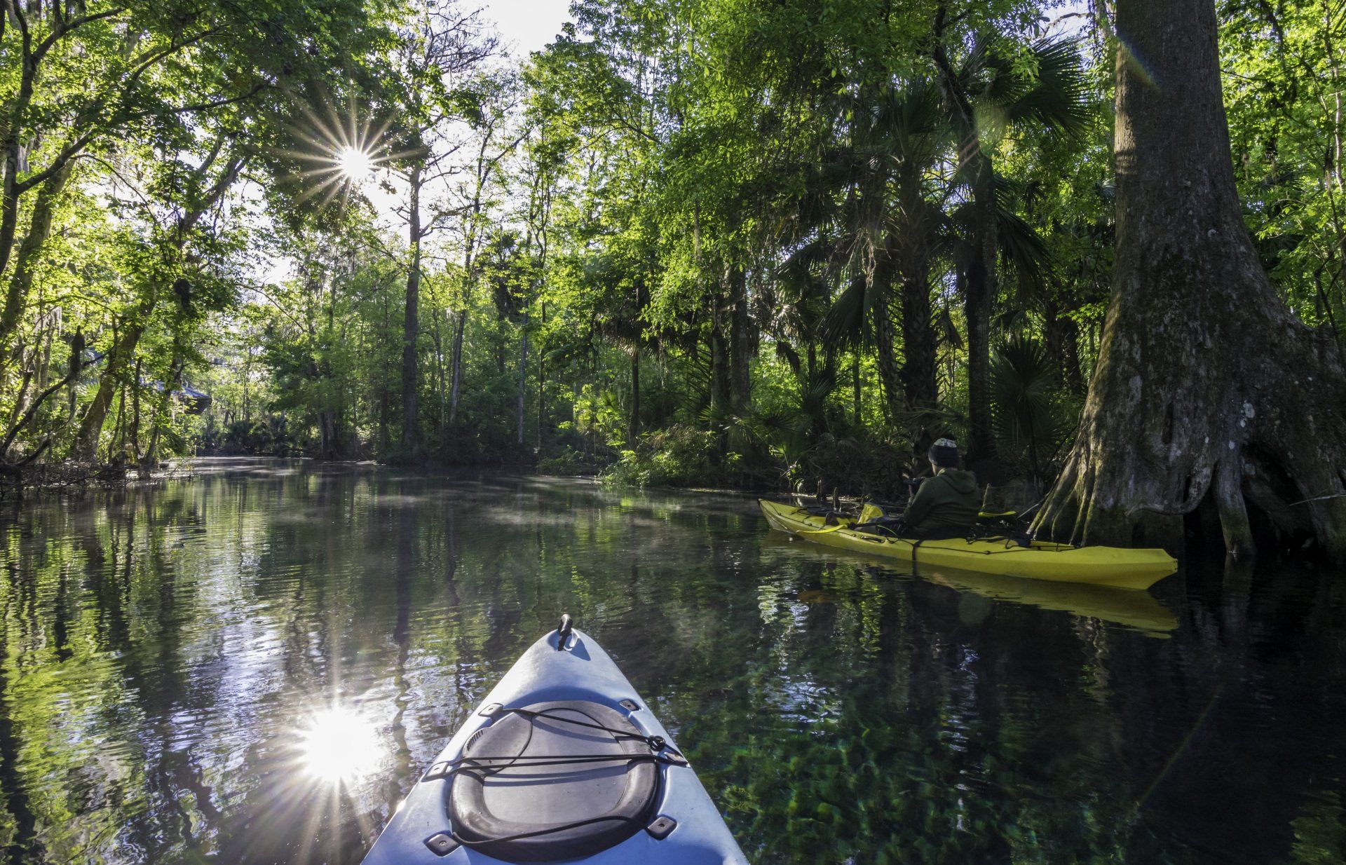 canoe floating through river