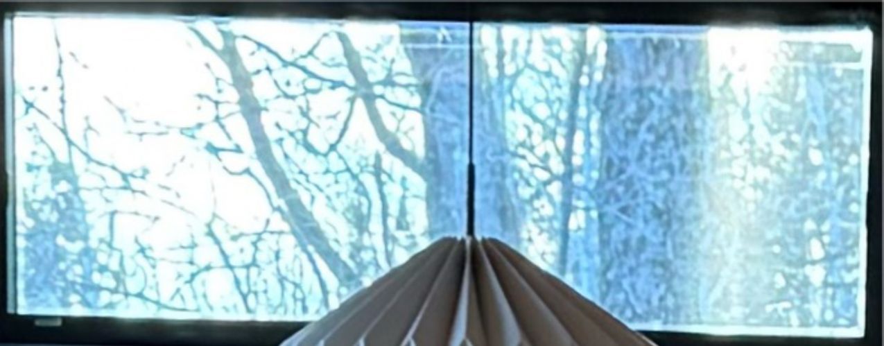 Window with a view of trees through a pane. A pleated paper lamp hangs in front of the window.