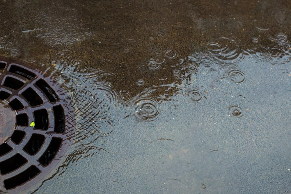 Raindrops Falling on Wet Asphalt Next to a Round, Metal Sewer Grate — ABV Plumbing In Woy Woy, NSW