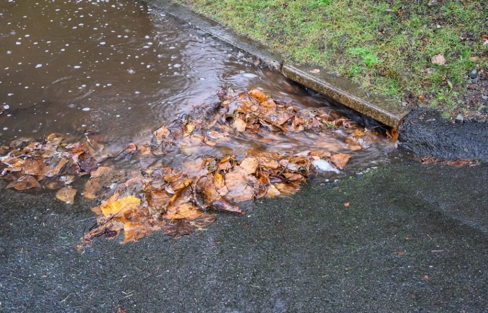 Wet Street With Brown Leaves Flowing Toward a Curb Drain — ABV Plumbing In Woy Woy, NSW