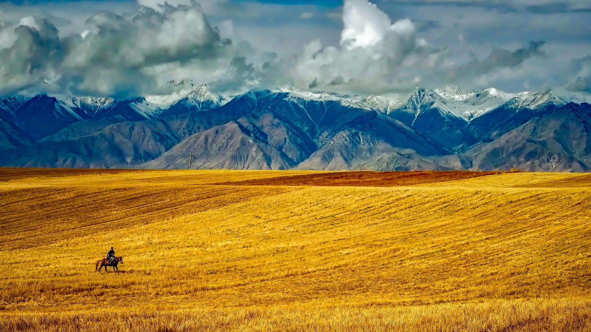 A man is riding a horse in a field with mountains in the background.