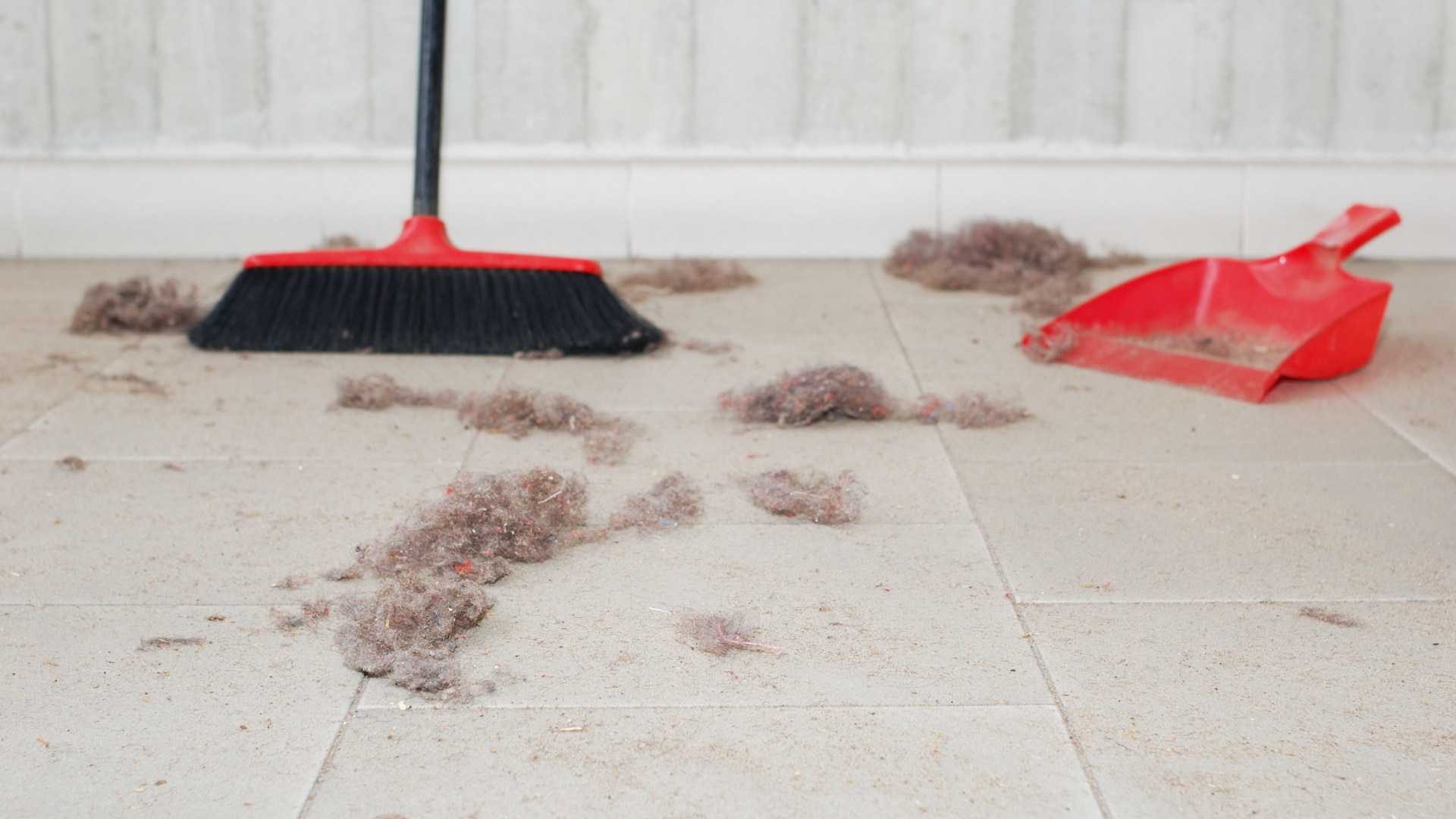 Broom and dustpan collecting dirt on a tiled floor. Red broom, red dustpan.