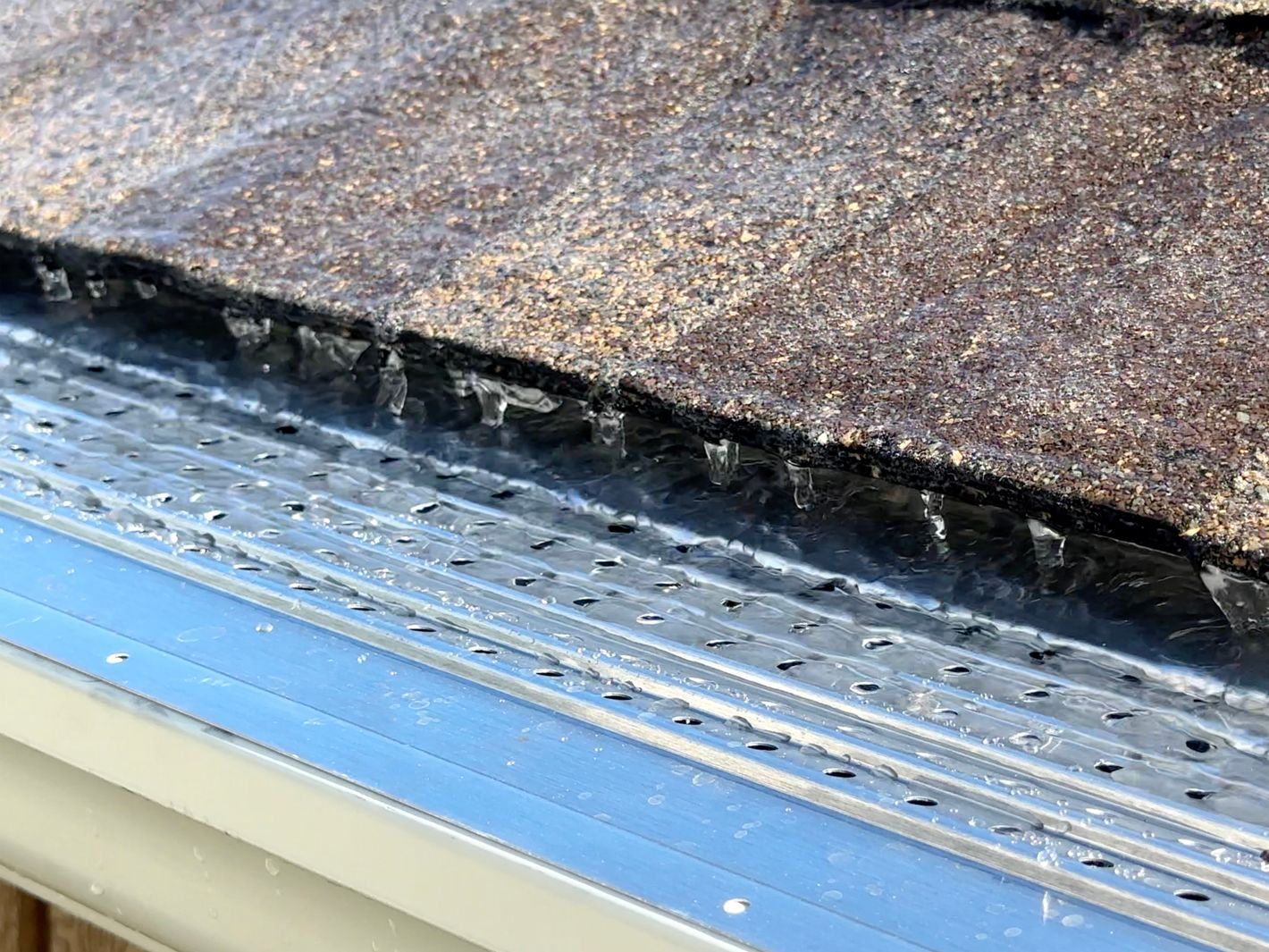 gutter with metal mesh, next to a brown shingle roof | leafblaster pro gutter guards