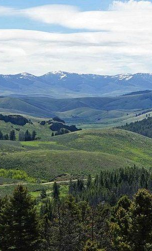 A view of rolling green hills leading to distant, snow-capped mountains under a sky with soft, wispy clouds.