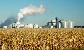 there is a factory in the background of a field of corn .