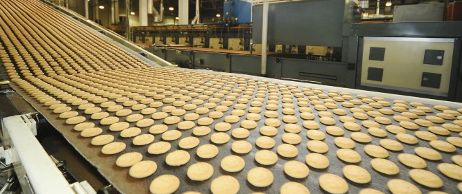 a conveyor belt filled with cookies in a factory .