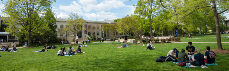 a group of people are sitting on the grass in a park .